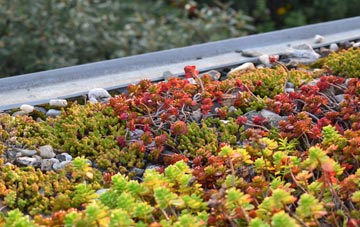 the cost of New Barn green roof installation