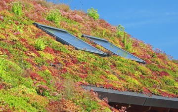 New Barn living roof systems